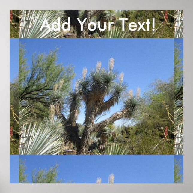 Joshua Träd Poster (Framsidan)