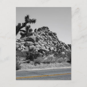 Joshua Träd Sten med Road - California Photo Vykort