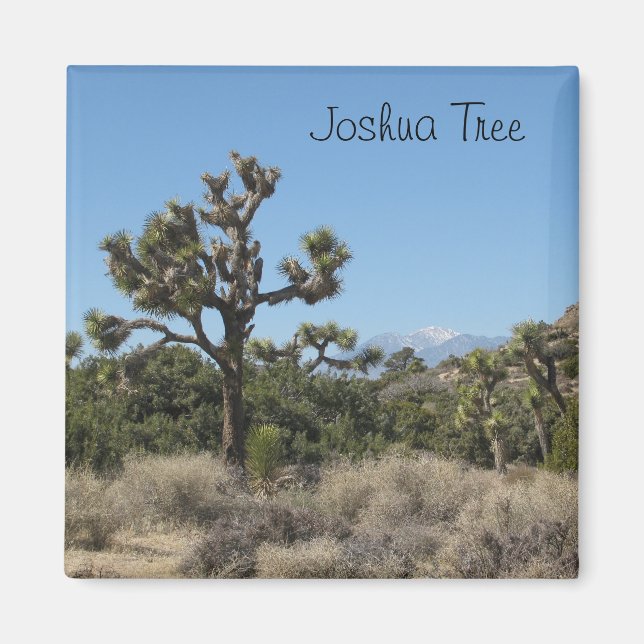 Joshua Träd View Magnet (Framsidan)