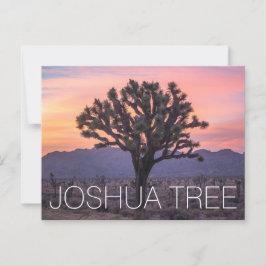 Joshua Träd Vykort