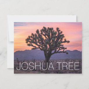 Joshua Träd Vykort