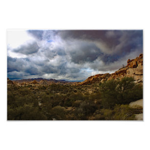 Joshua Tree Fototryck