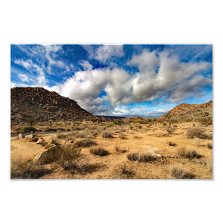 Joshua Tree Fototryck