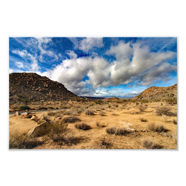 Joshua Tree Fototryck (Framsidan)