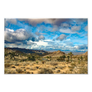 Joshua Tree Fototryck