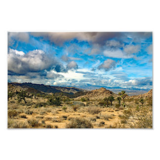 Joshua Tree Fototryck