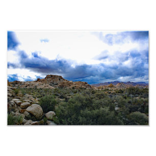 Joshua Tree Fototryck