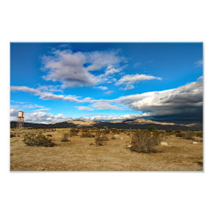 Joshua Tree Fototryck