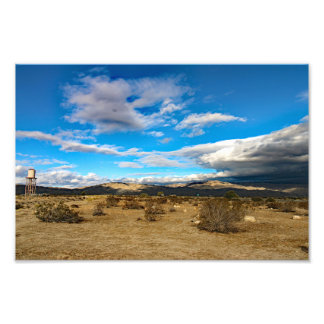 Joshua Tree Fototryck