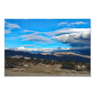 Joshua Tree Fototryck
