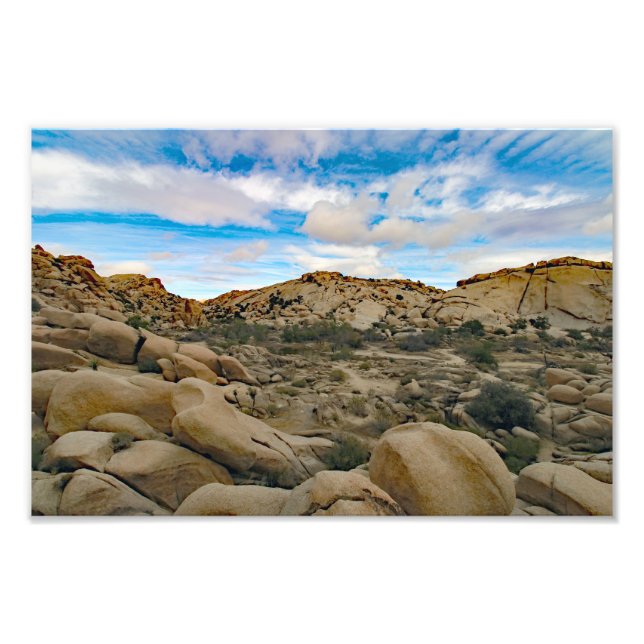 Joshua Tree Fototryck (Framsidan)
