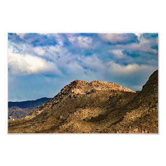 Joshua Tree Fototryck