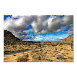 Joshua Tree Fototryck