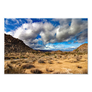 Joshua Tree Fototryck