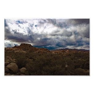 Joshua Tree Fototryck