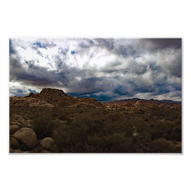 Joshua Tree Fototryck (Framsidan)