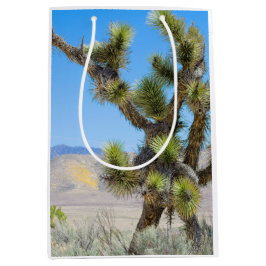 Joshua Tree i Kalifornien