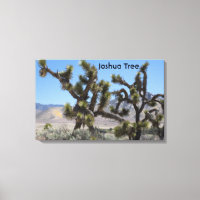 Joshua Tree i Kalifornien