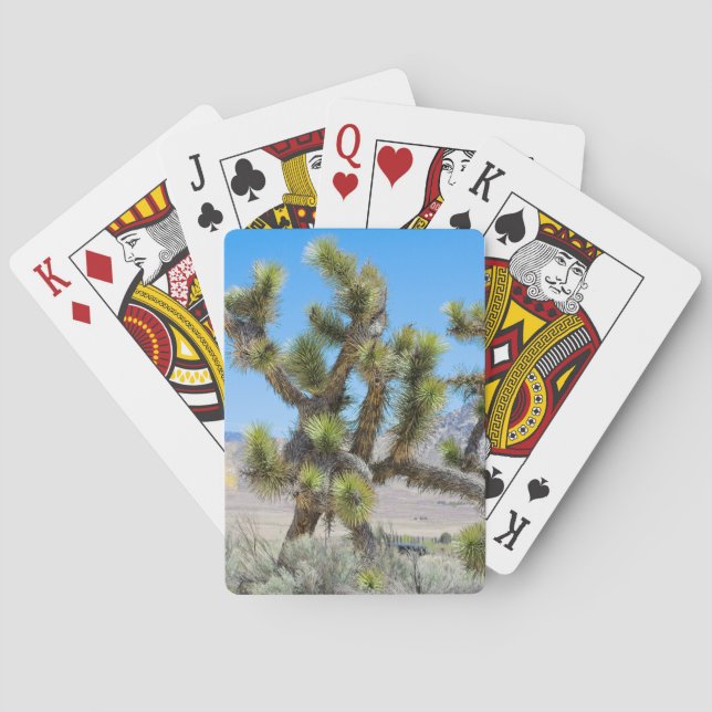 Joshua Tree i Kalifornien Casinokort (Baksidan)