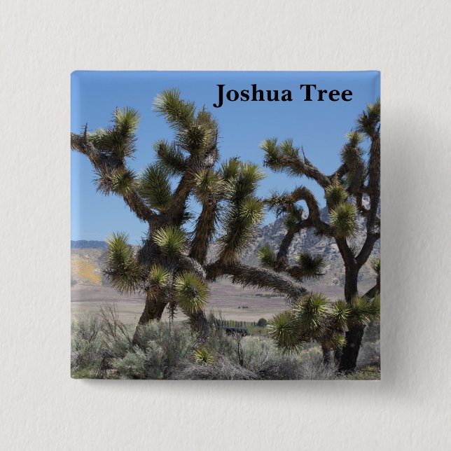 Joshua Tree i Kalifornien Knapp (Framsida)