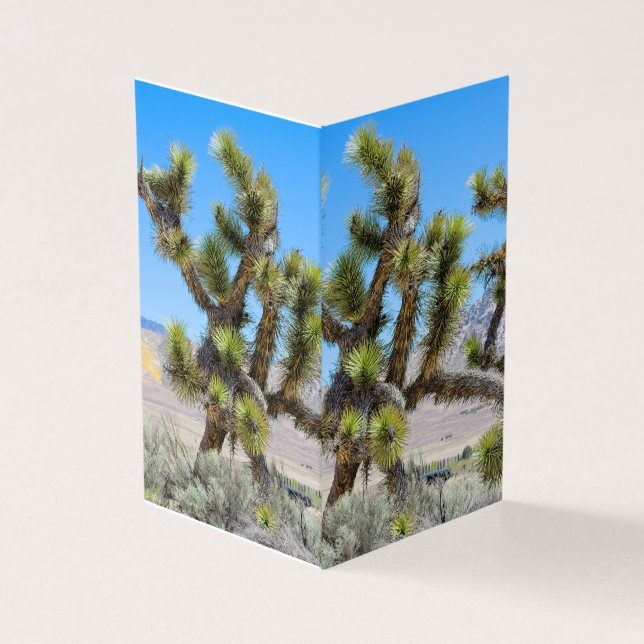Joshua Tree i Kalifornien Kort (Utsida)