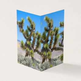 Joshua Tree i Kalifornien Kort