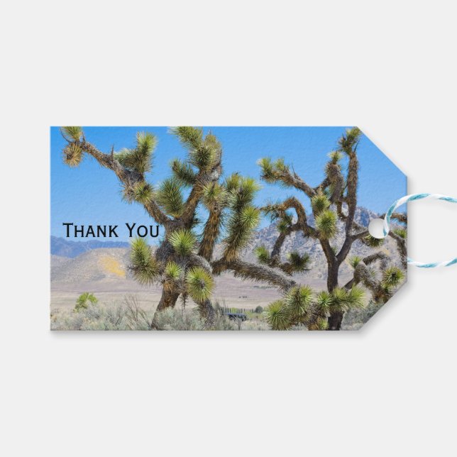 Joshua Tree i Kalifornien       Presentetikett (Framsidan (Horisontell))