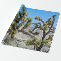 Joshua Tree i Kalifornien