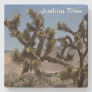 Joshua Tree i Kalifornien Stenunderlägg