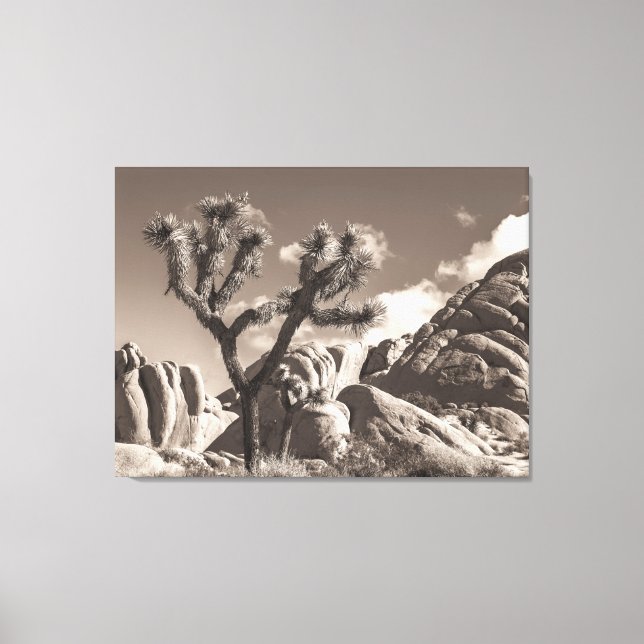 Joshua Tree Landskap Sepia Ton Canvastryck (Framsida)