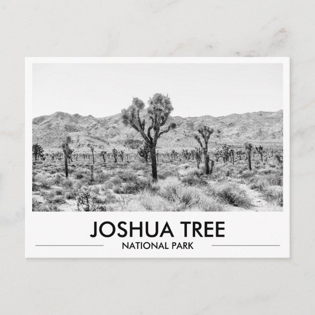 Joshua Tree National Park brevpapper med foton  Vykort (Framsida)