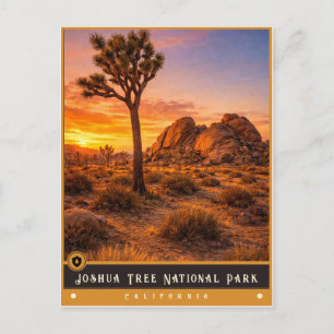 Joshua Tree National Park Gammal vykort