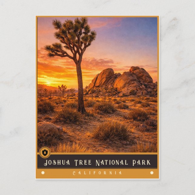 Joshua Tree National Park | Gammal vykort (Framsida)