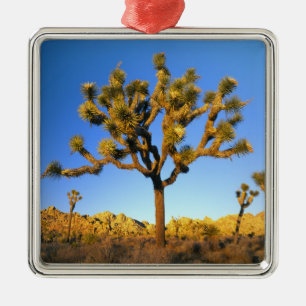 Joshua Tree National Park, Kalifornien. USA. Julgransprydnad Metall