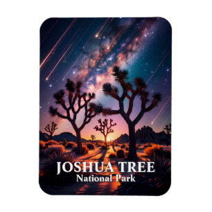 Joshua Tree National Park Natthimmel Vintergatan Magnet