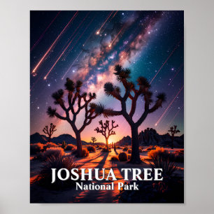 Joshua Tree National Park Natthimmel Vintergatan Poster