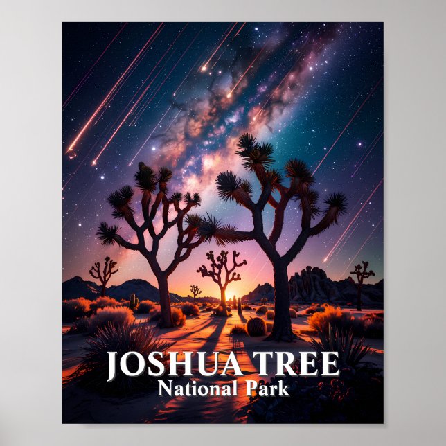 Joshua Tree National Park Natthimmel Vintergatan Poster (Framsidan)