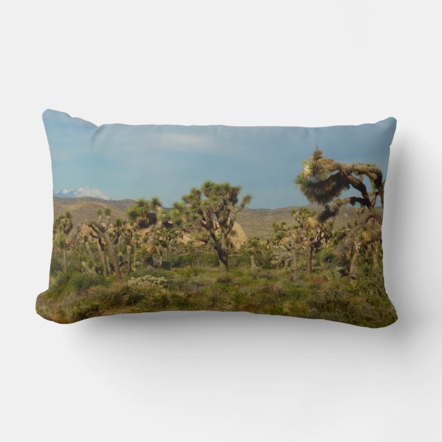 Joshua Tree National Park Ökenlandskap Lumbarkudde (Framsida)