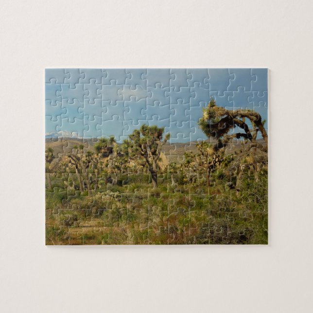 Joshua Tree National Park Ökenlandskap Pussel (Horisontell)