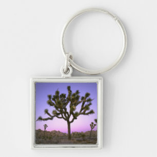 JOSHUA TREE NATIONALPARK, KALIFORNIEN. USA. FYRKANTIG SILVERFÄRGAD NYCKELRING