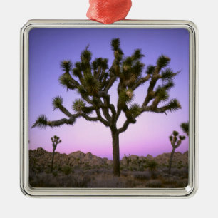 JOSHUA TREE NATIONALPARK, KALIFORNIEN. USA. JULGRANSPRYDNAD METALL