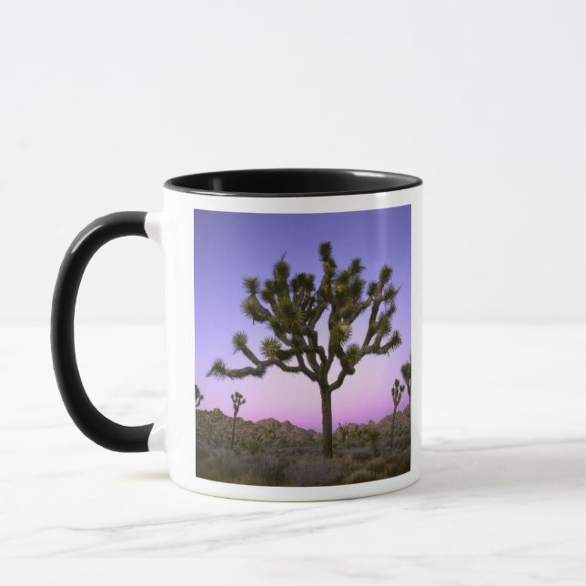JOSHUA TREE NATIONALPARK, KALIFORNIEN. USA. MUGG (Vänster)