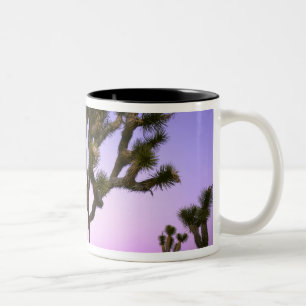 JOSHUA TREE NATIONALPARK, KALIFORNIEN. USA. Två-Tonad MUGG
