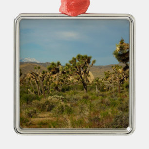 Joshua Tree Nationalpark Ökenlandskap Julgransprydnad Metall