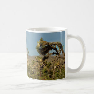 Joshua Tree Nationalpark Ökenlandskap Kaffemugg