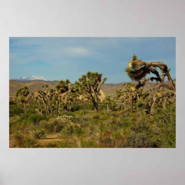Joshua Tree Nationalpark Ökenlandskap Poster (Framsidan)