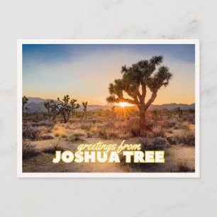 Joshua Tree Nationalpark Solnedgång Retro Resa Vykort