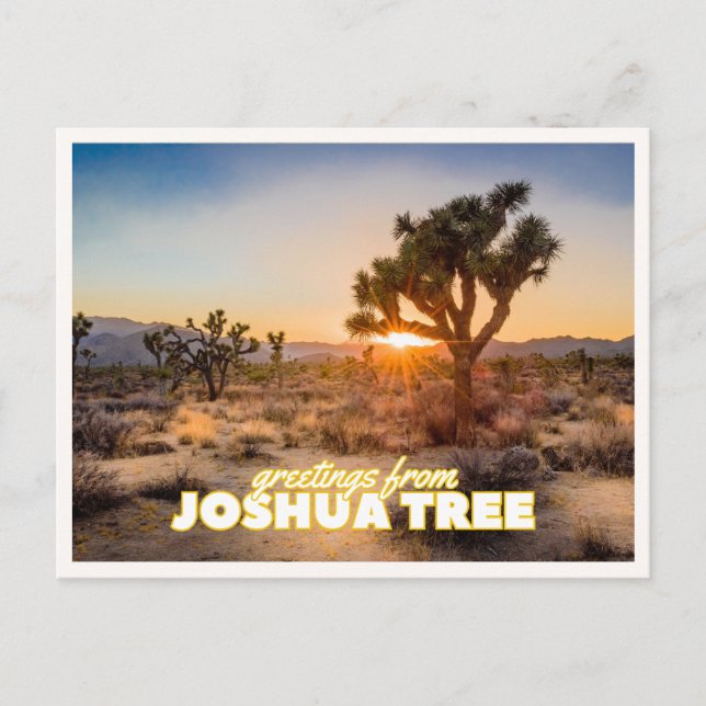 Joshua Tree Nationalpark Solnedgång Retro Resa Vykort (Framsida)