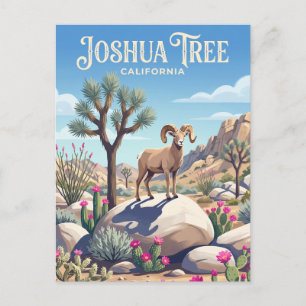 Joshua Tree nationalpark USA Vykort
