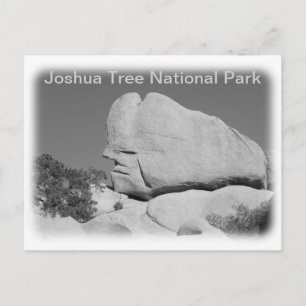 Joshua Tree Nationalpark vykort! Vykort